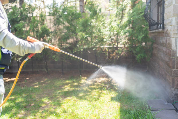 Professional Pest Control in Leesville, LA